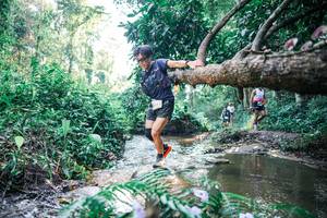 BIB: 
                            <button type="button" onclick="openModal(25438652)" class="btn btn-primary btn-sm float-right btn-popup" data-toggle="modal" data-target=".modal-high-quality">
                        <i class="fas fa-shopping-cart"></i> Add to Cart
                    </button>
                                            <button type="button" onclick="isThisMe(25438652, true)" class="btn btn-success btn-sm float-right btn-popup btn-isme hidden" data-toggle="tooltip" data-placement="bottom" title="นี่คือรูปของคุณใช่ไหม คลิกที่นี่เพื่อเอาเข้าอัลบั้ม">
                        <i class="fas fa-plus"></i> Add to album
                    </button>
                    <button type="button" onclick="isThisMe(25438652, false)" class="btn btn-warning btn-sm float-right btn-popup btn-isnotme hidden">
                        <i class="fas fa-ban"></i> Remove from album
                    </button>